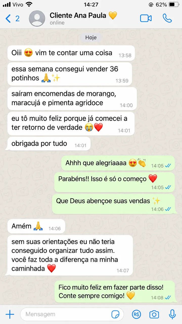 Conversa no WhatsApp: cliente Ana Paula conta que vendeu 36 potinhos na semana e começou a ter retorno de verdade